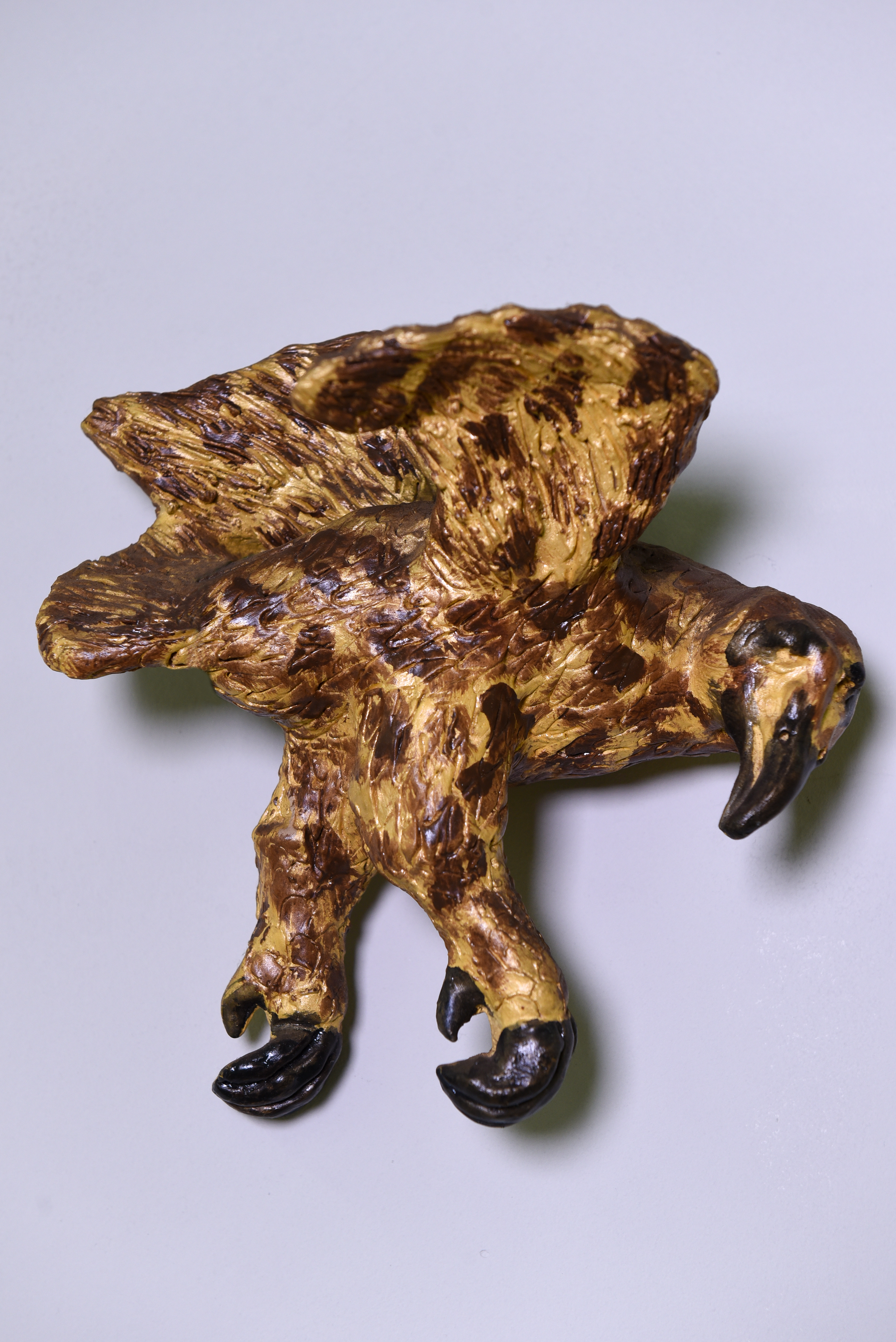 Leia mais sobre o artigo Águia