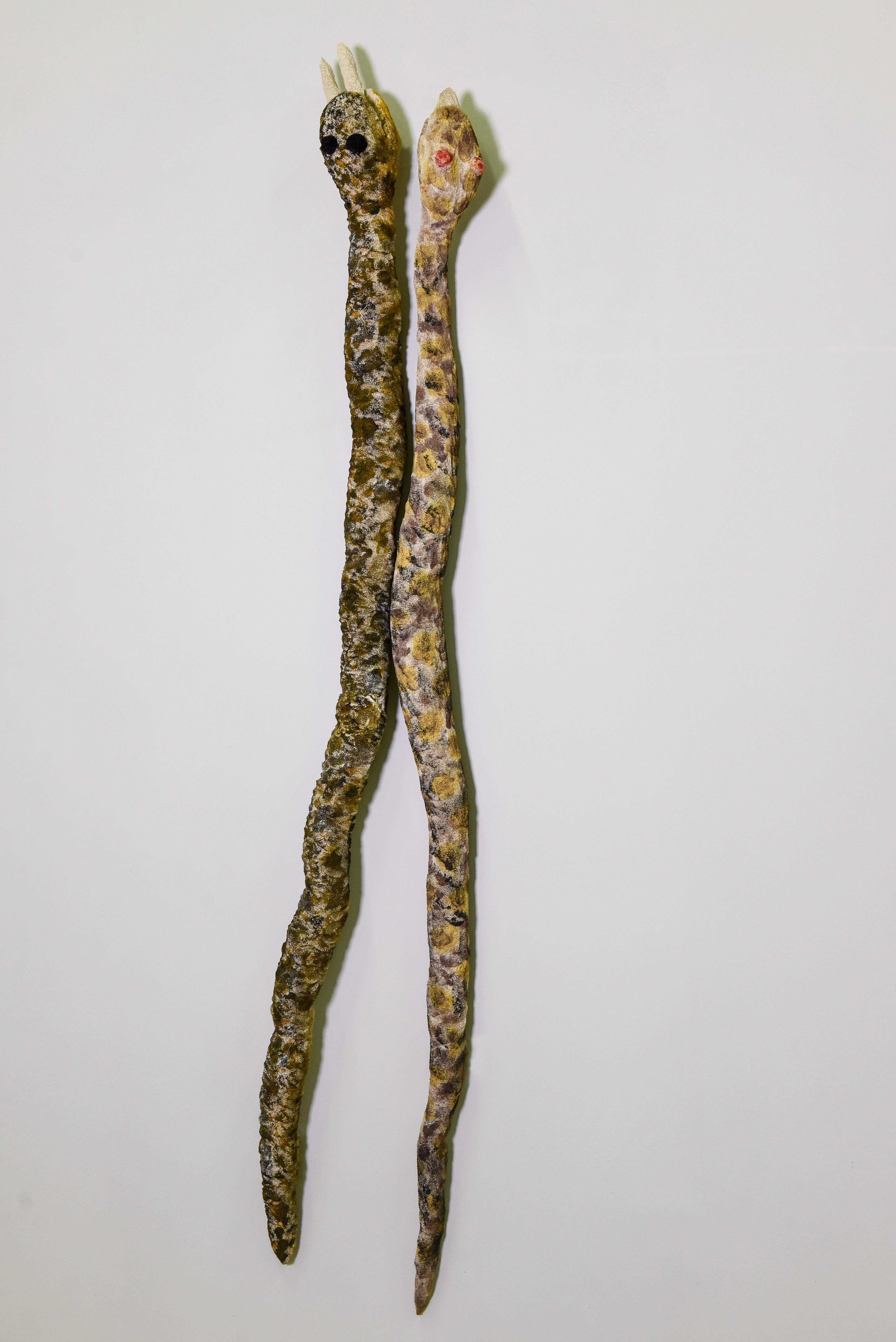 Leia mais sobre o artigo Cutiara e Jacaracuçu